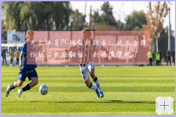 开云体育PC端最新版本：这几个操作让你收益翻倍，别再傻傻玩了